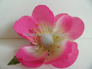 Květ růžový BZ-04872